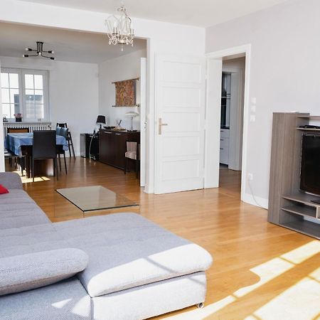 Charmant Appartement Avec Terrasse Dans Villa Straßburg Exterior foto